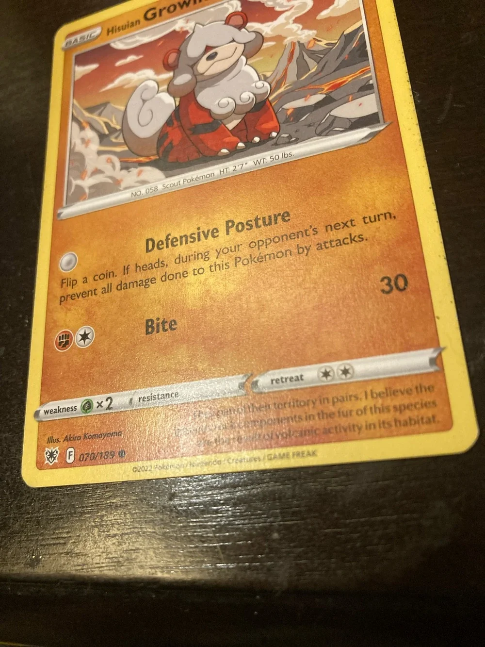 (Check last picture to see wearing)  Hisuian Growlithe Trading Card